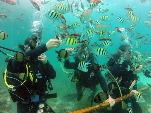 Scuba World Mactan-拉普拉普必去景点