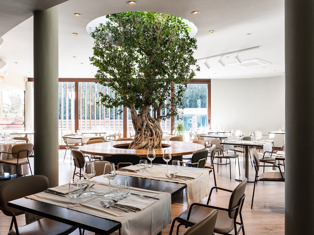 San Frediano a Settimo餐馆和美食-Vip Ristorante & Lounge Bar