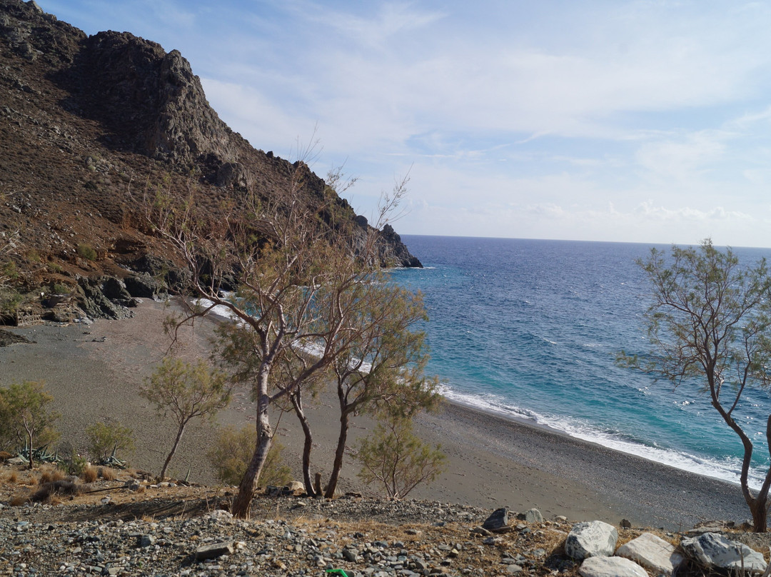 Lentas旅游攻略图片