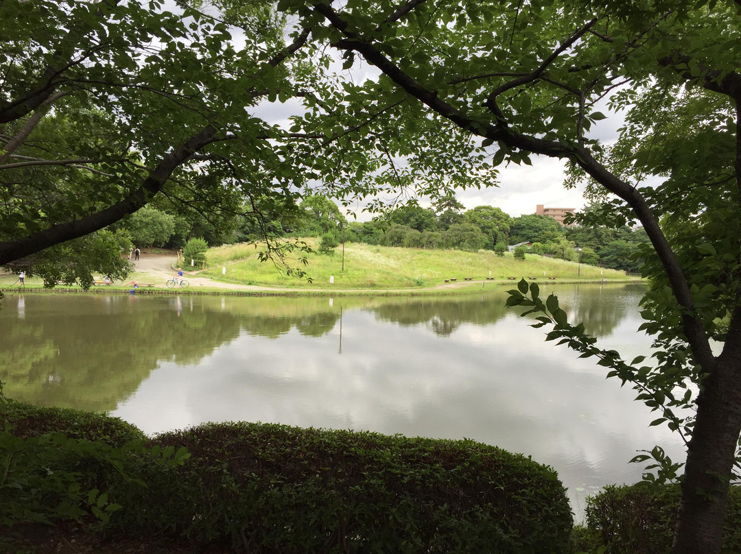 Midorigaoka Park景点图片