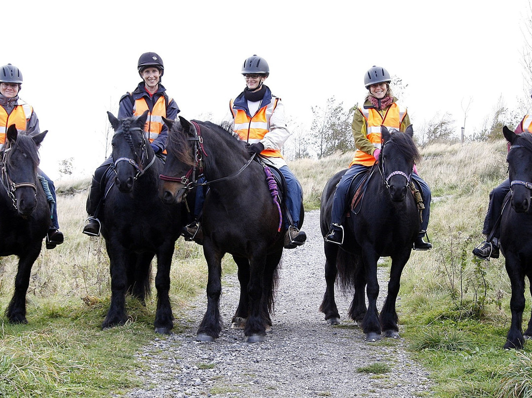 Peers Clough Packhorses-Rossendale必去景点
