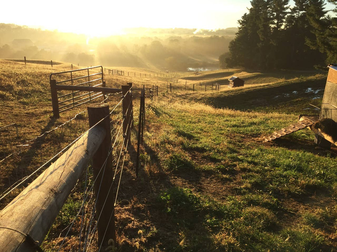 Avondale HIlls Farm景点图片