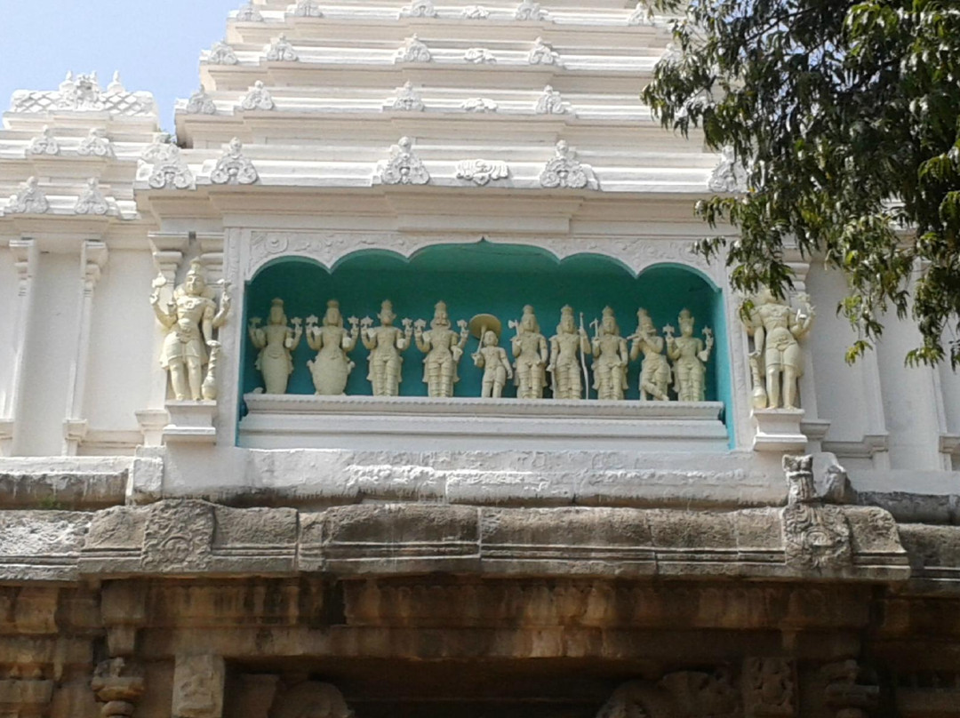 Sri Veda Narayanaswami Temple景点图片