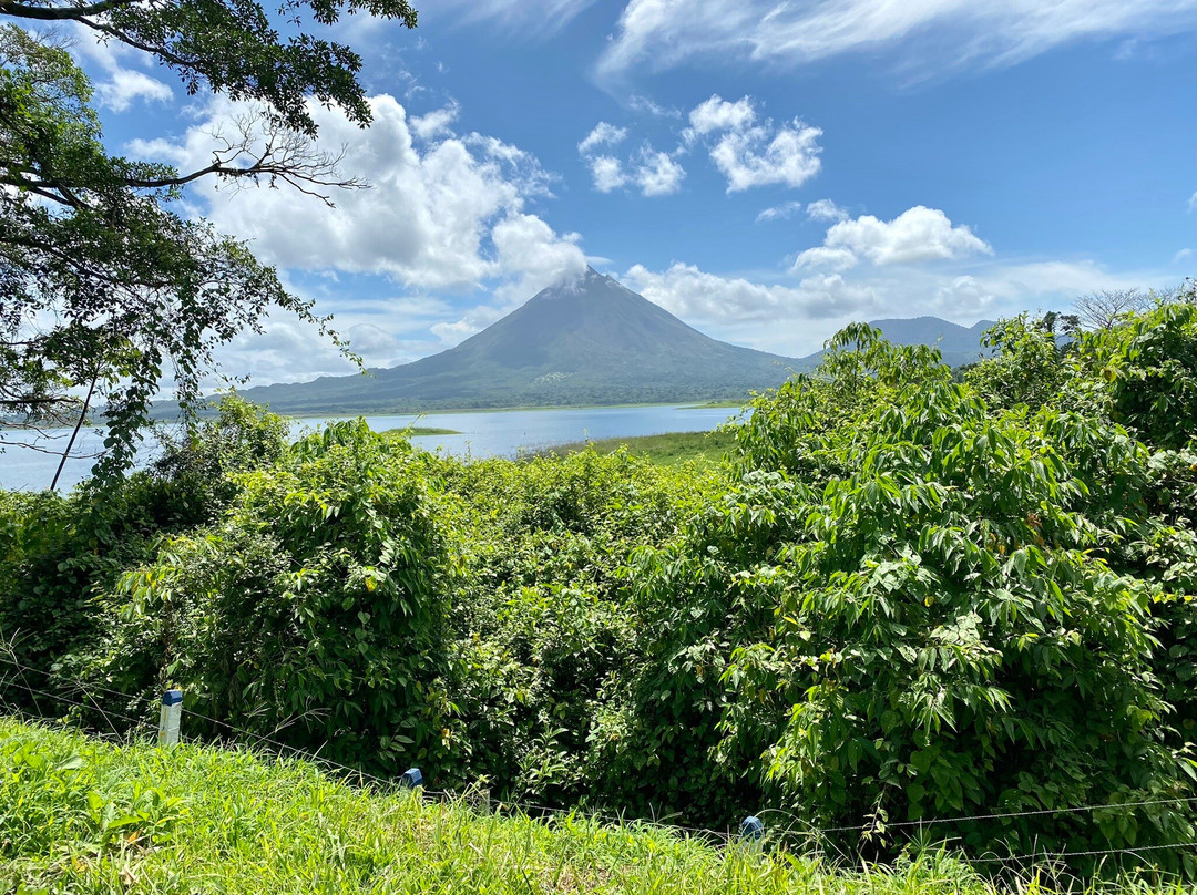 Hotel Lodge Arenal La Palma