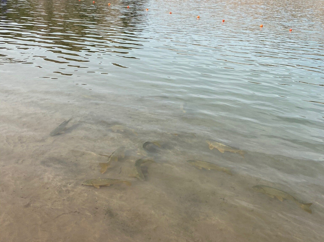 Raffeish-圣拉斐尔必去景点