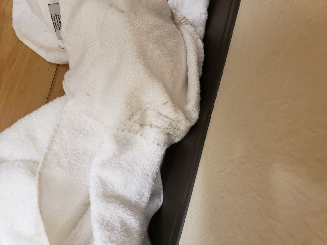 菲耶特维尔旅馆及套房酒店主图