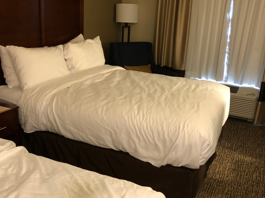 Comfort Inn & Suites主图