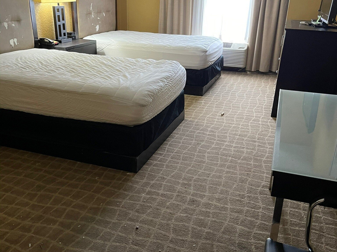 La Quinta Inn & Suites by Wyndham Hot Springs主图