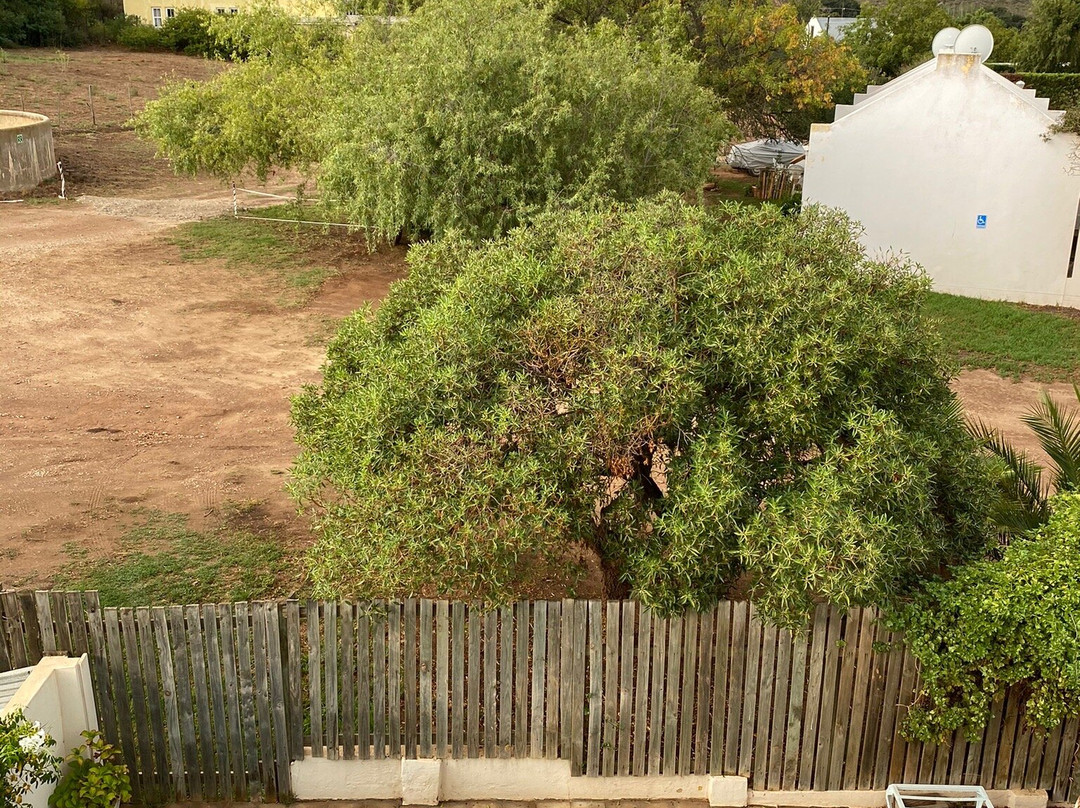 The Whitehouse主图