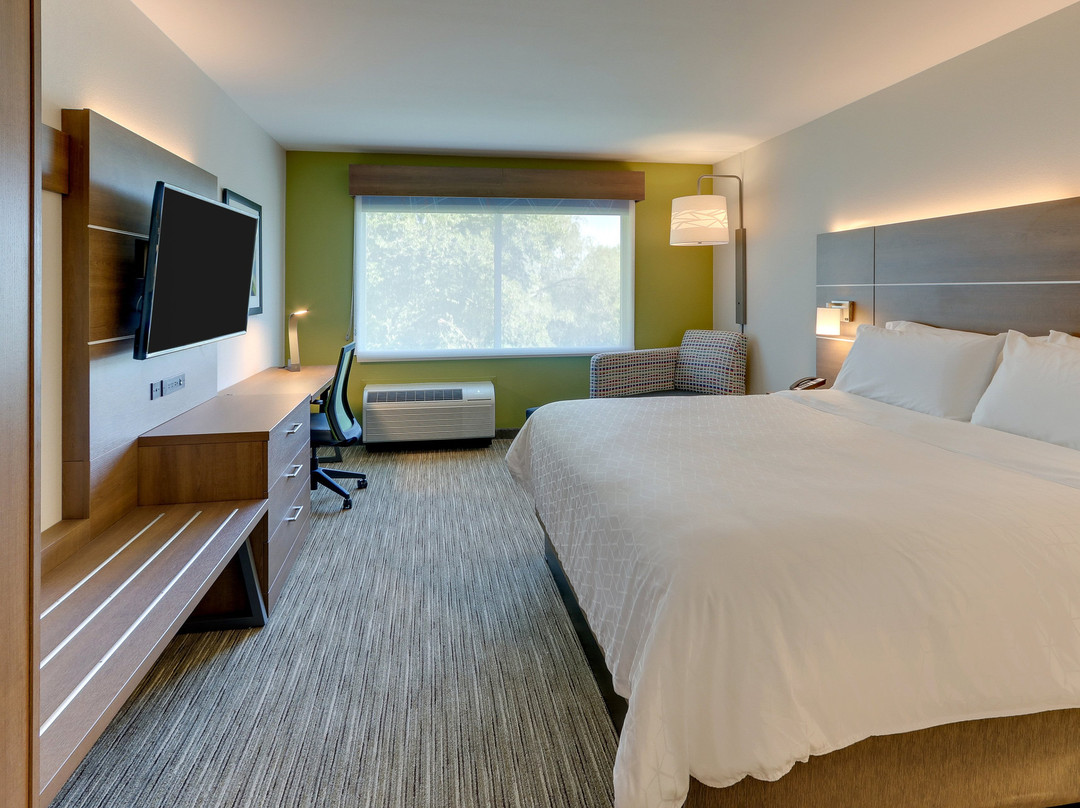 Holiday Inn Express & Suites Roanoke - Civic Center by IHG主图
