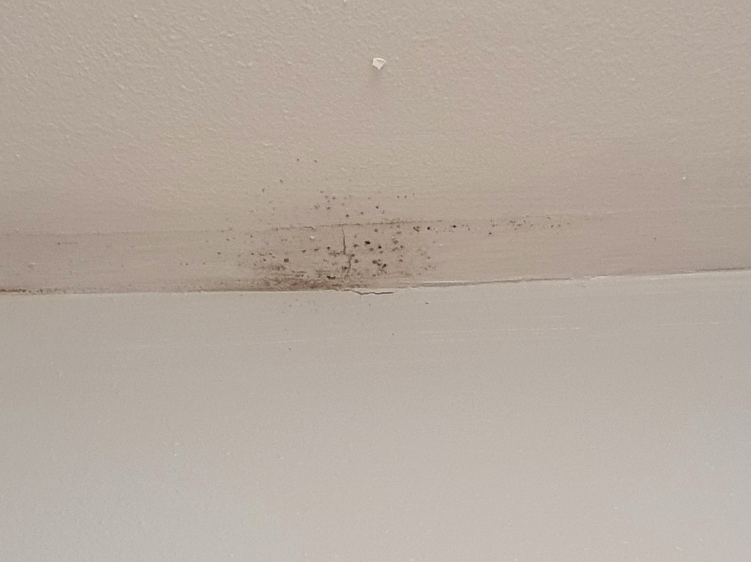 Baymont by Wyndham Albany at Albany Mall主图