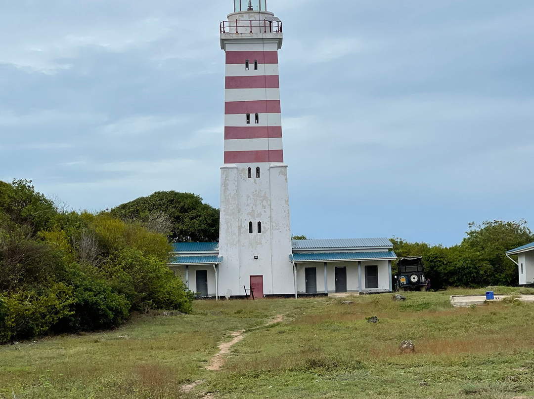 Ras Mkumbi-马菲亚岛必去景点