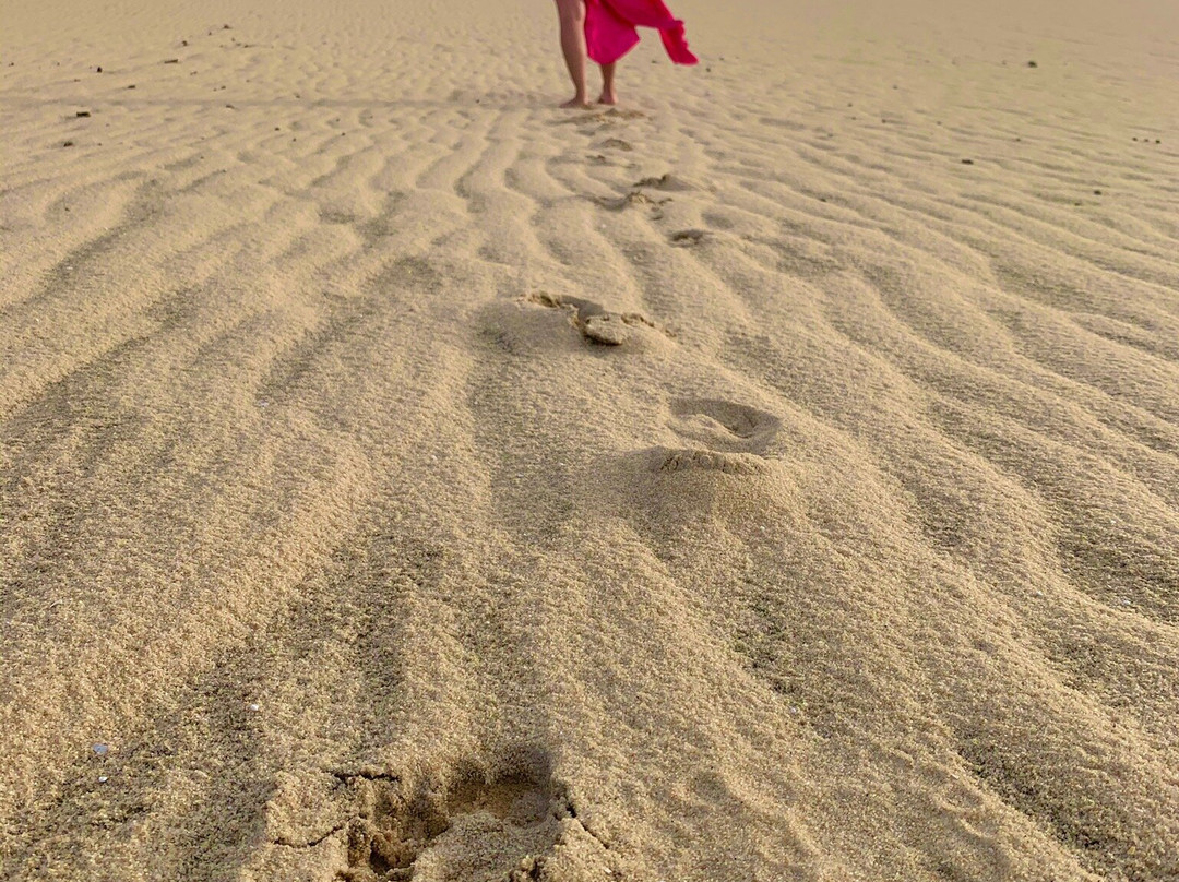 Tiago Jeri Passeios-杰里科科拉必去景点