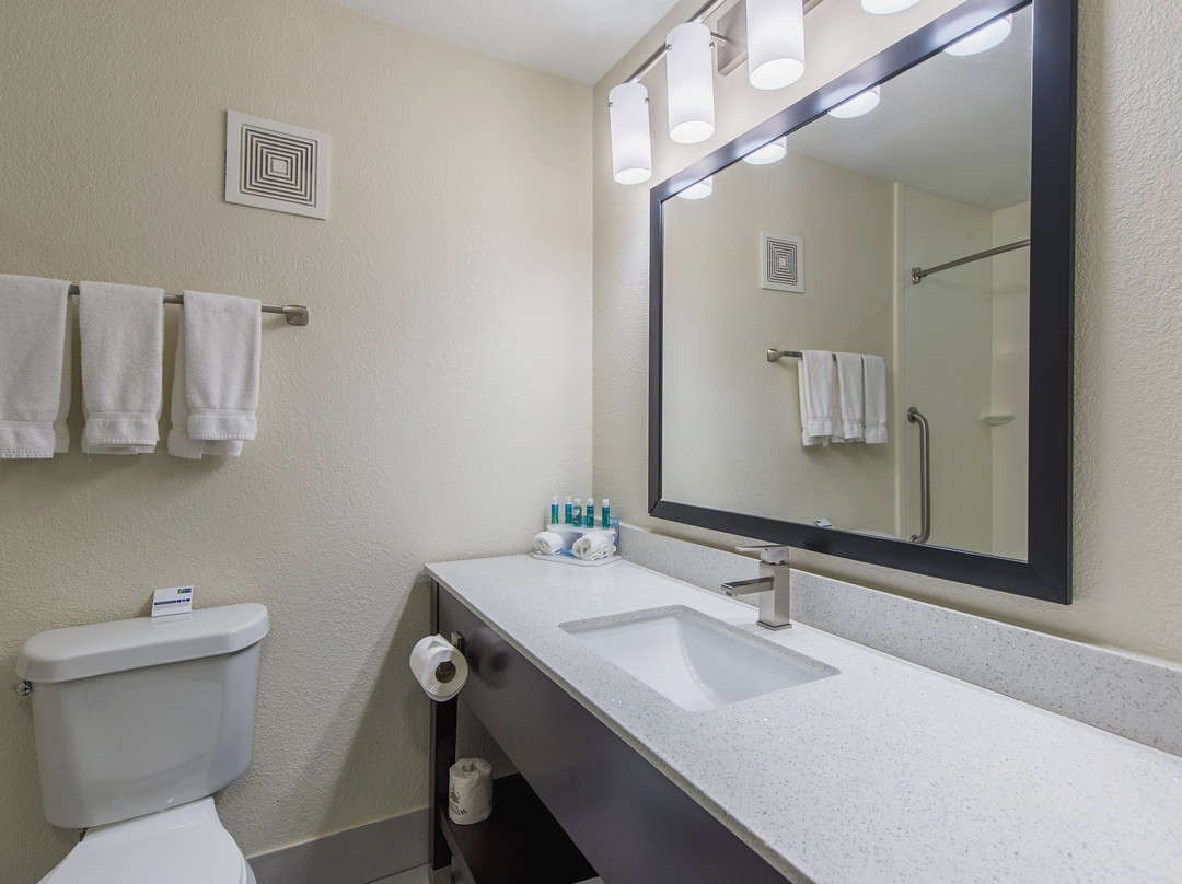 Holiday Inn Express Dandridge by IHG主图