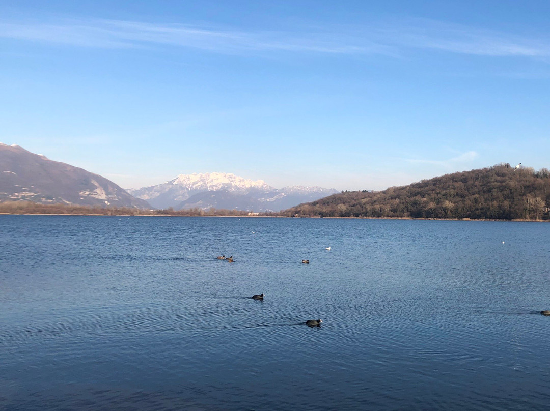 Lago di Alserio景点图片