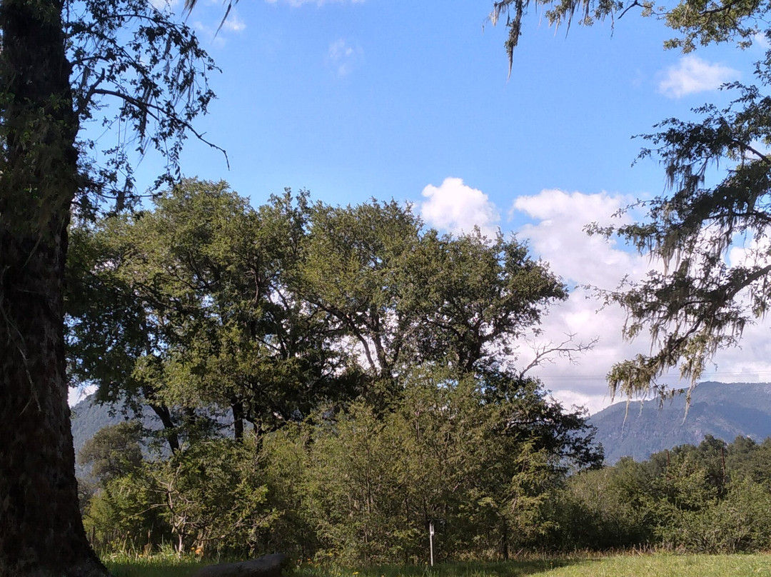 Hotel Boutique Nalcas主图