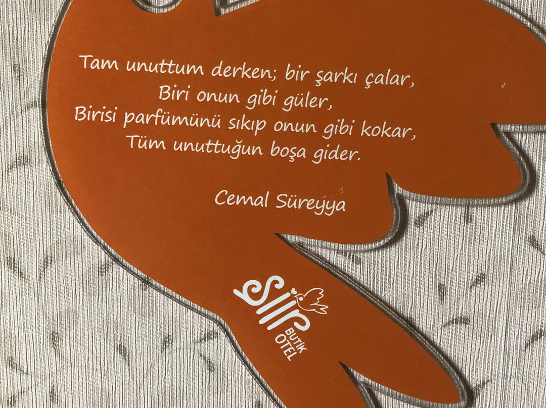 Şiir Butik Otel主图