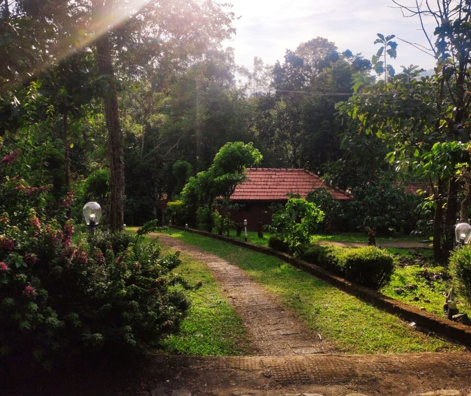 Wild Life Resorts主图