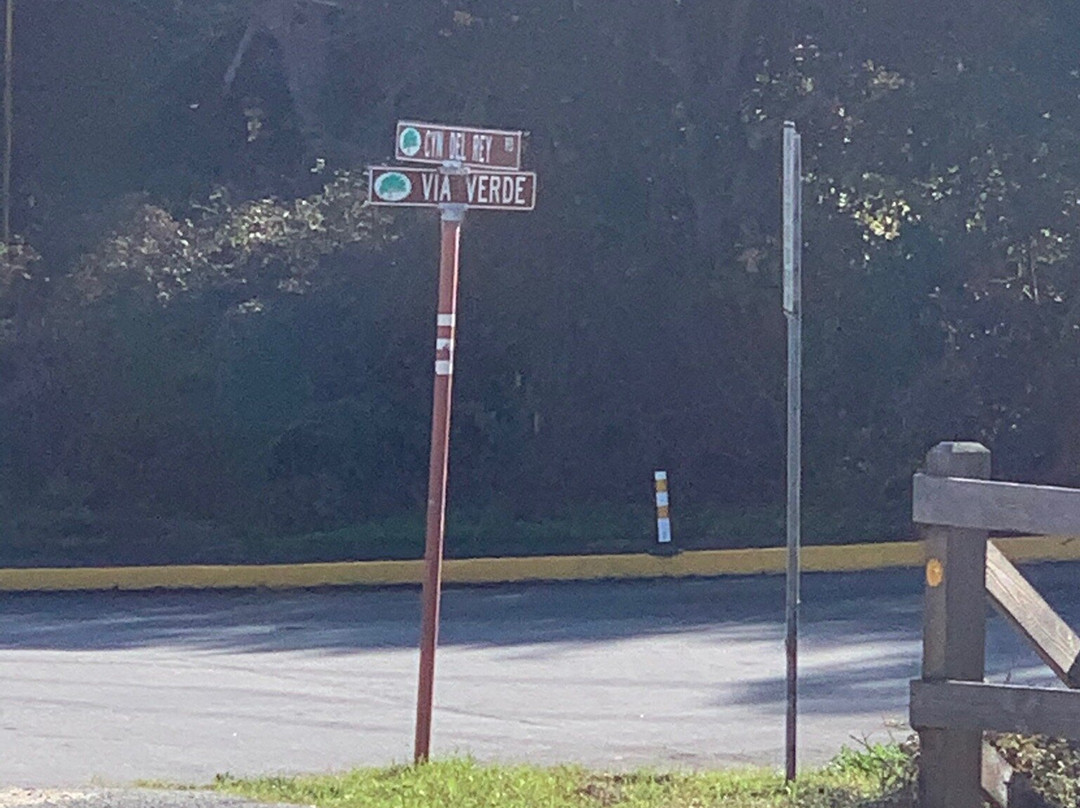 Frog Pond Wetland Preserve-锡赛德必去景点