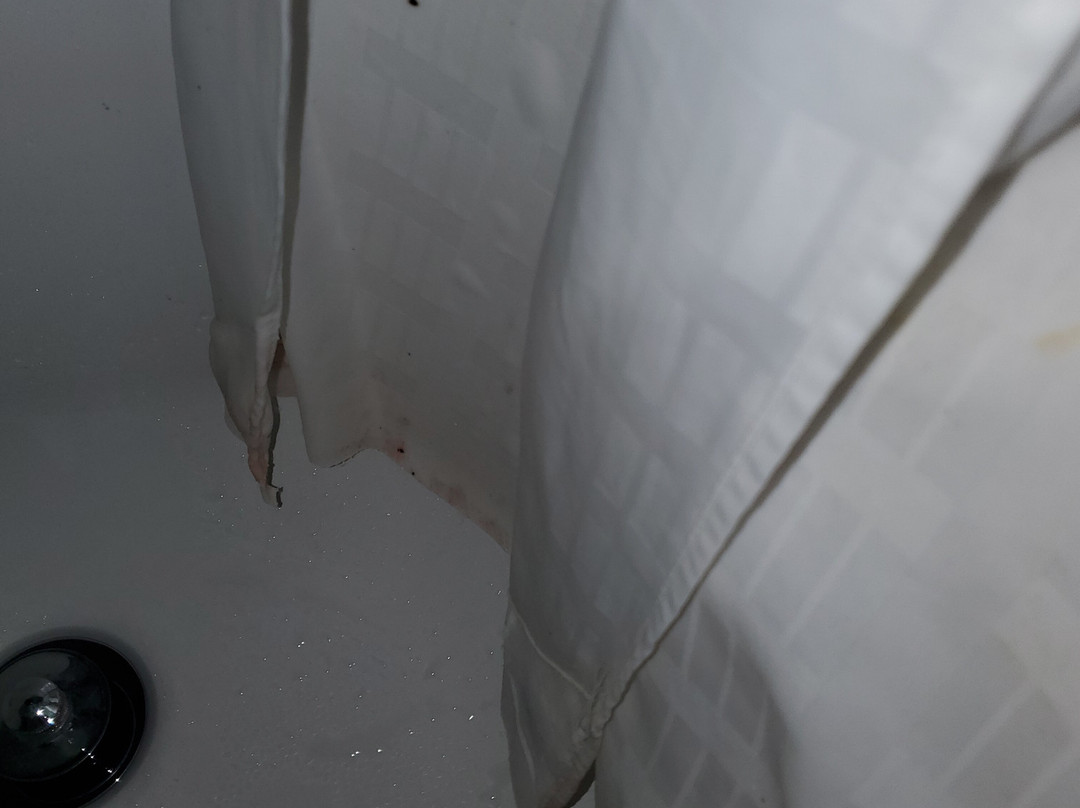 Comfort Suites Shreveport West I-20主图