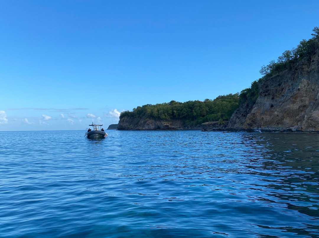 Les Baillantes Tortues-Pointe-Noire必去景点
