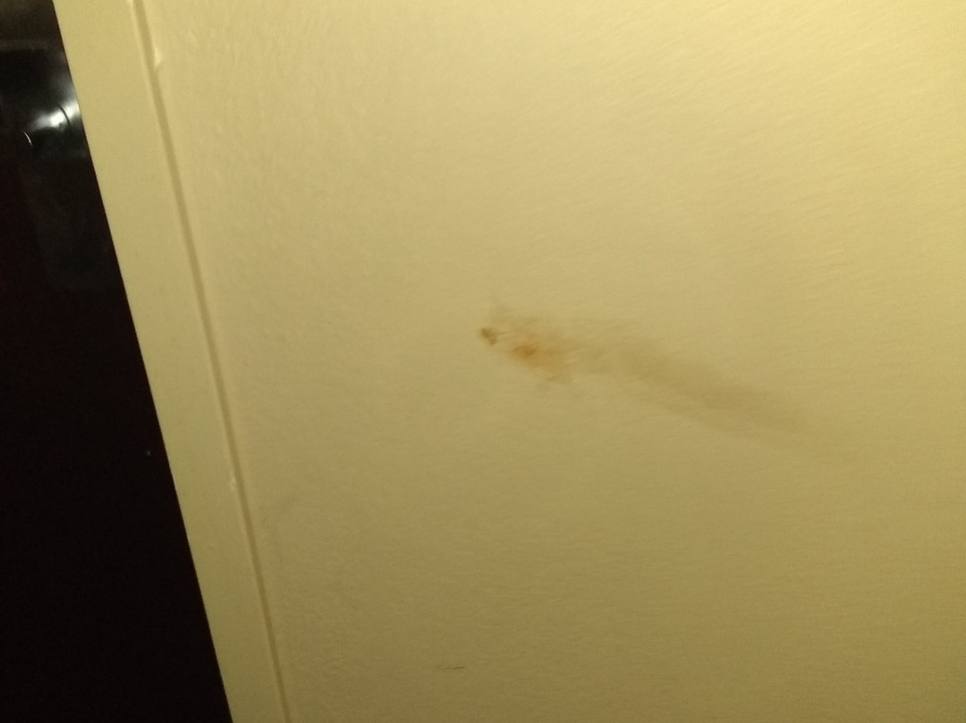 Extended Stay America - Akron - Copley - East主图