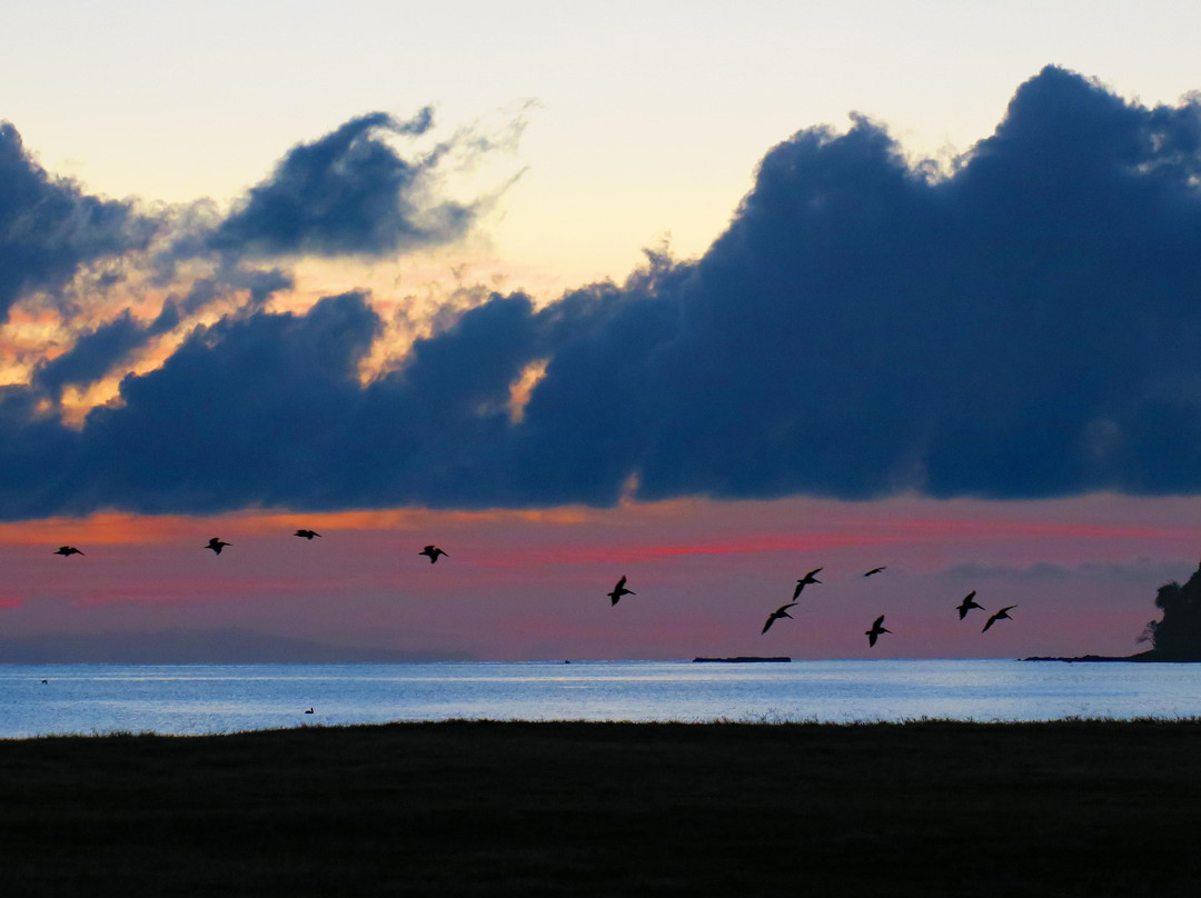 坦伯尔热带酒店主图