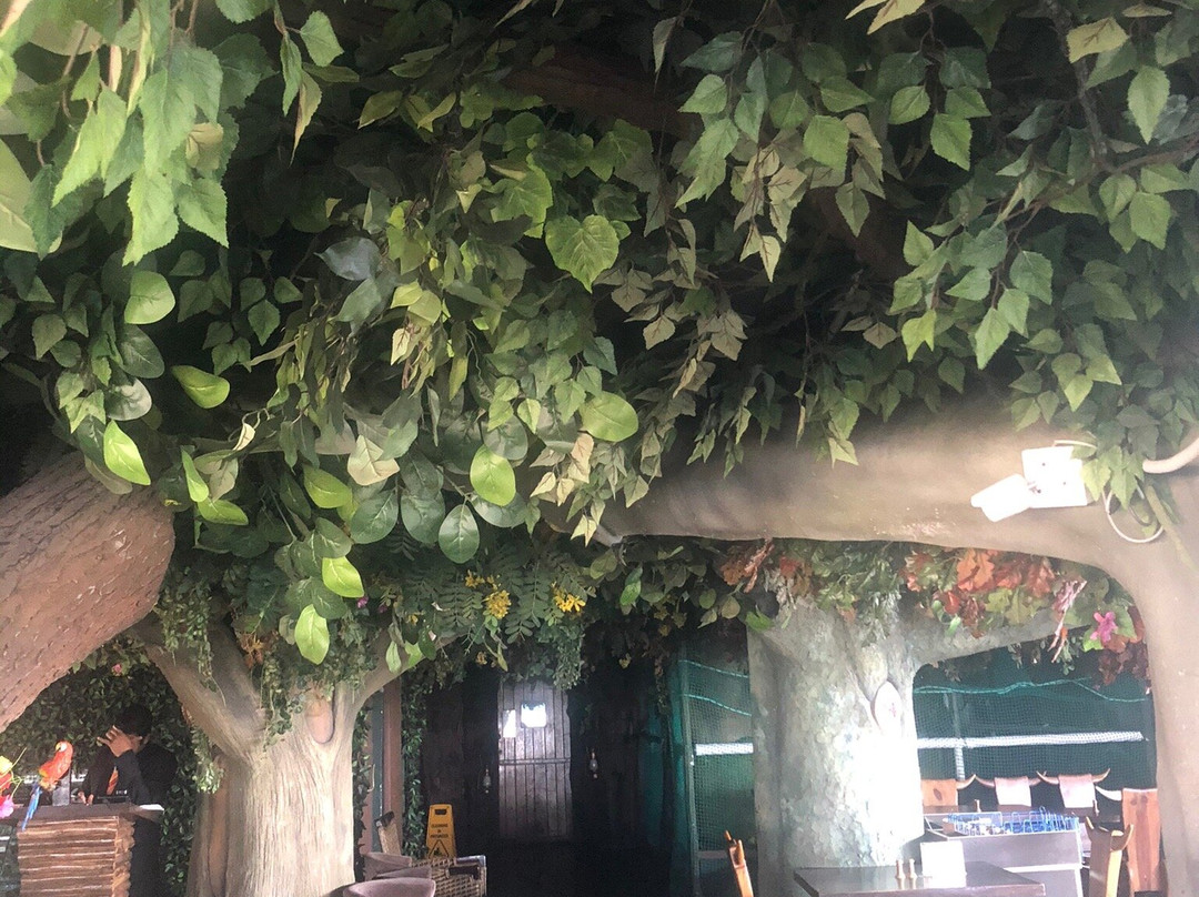 The President Hotel, Hubli主图