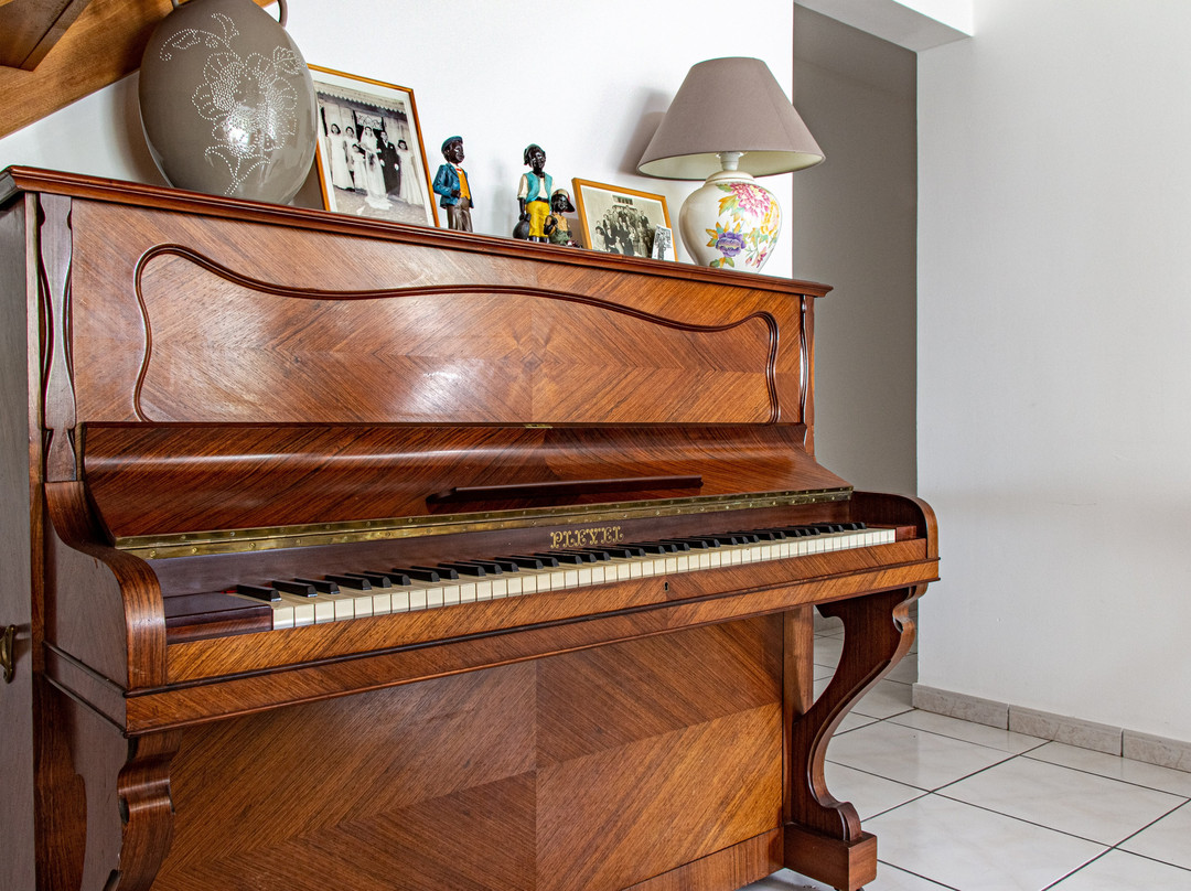 Le Quindio (chambres D'hôtes)主图