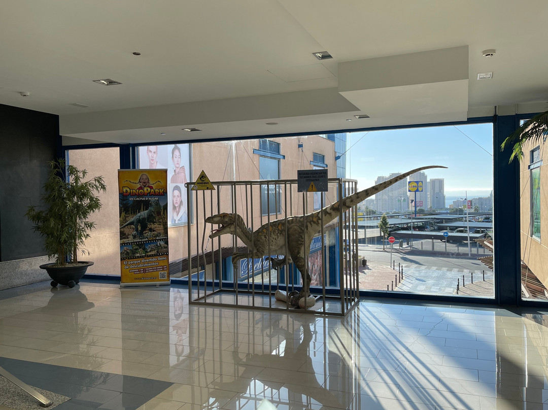 Centro Comercial La Marina景点图片