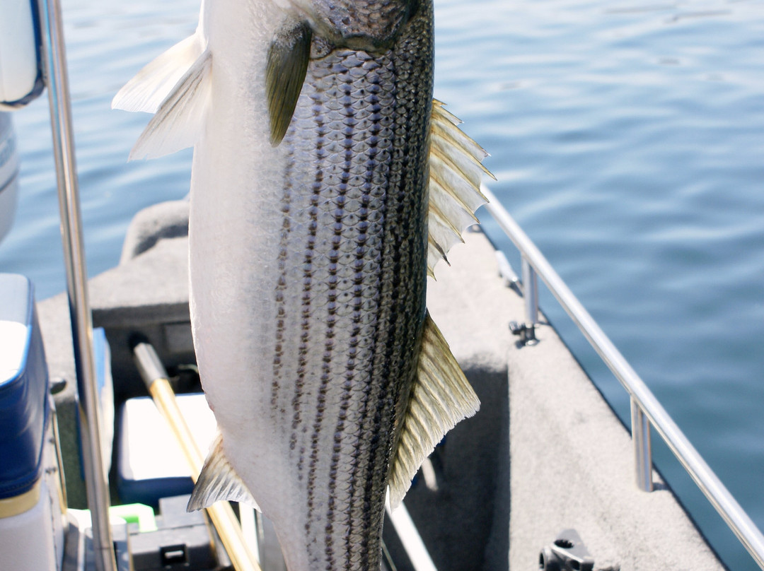 Las Vegas Fishing Tours-拉斯维加斯必去景点