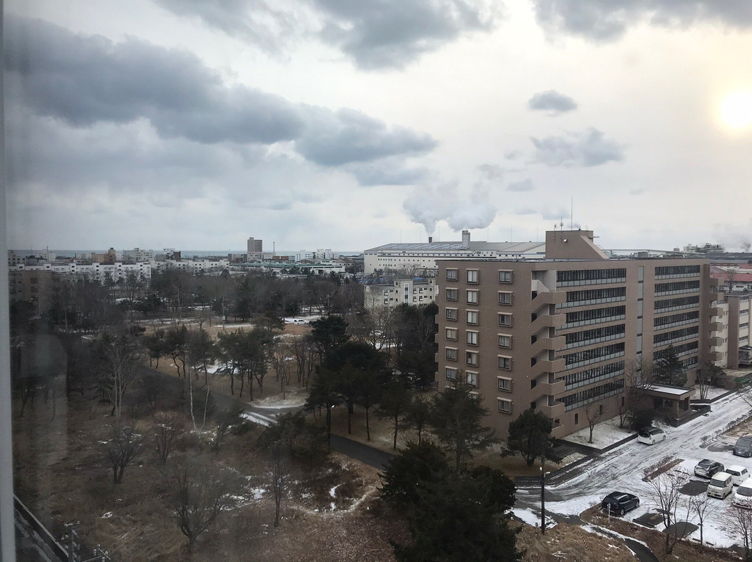 露樱酒店苫小牧站前店主图