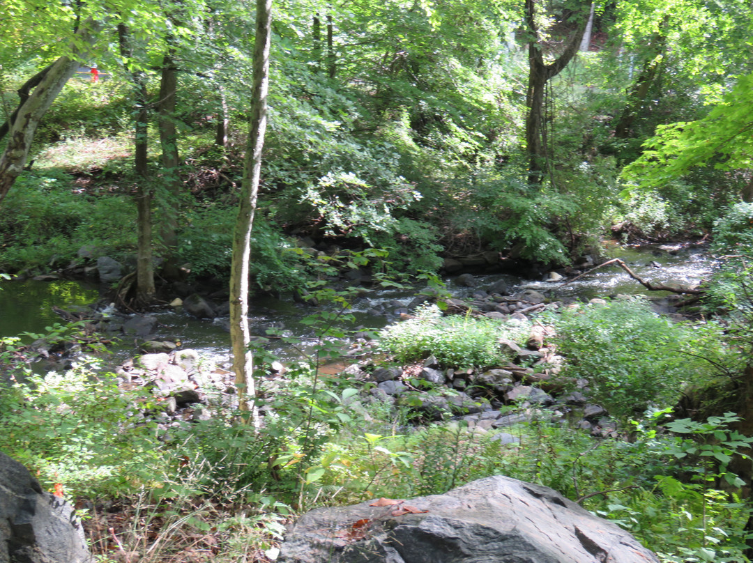 Rockefeller State Park Preserve景点图片