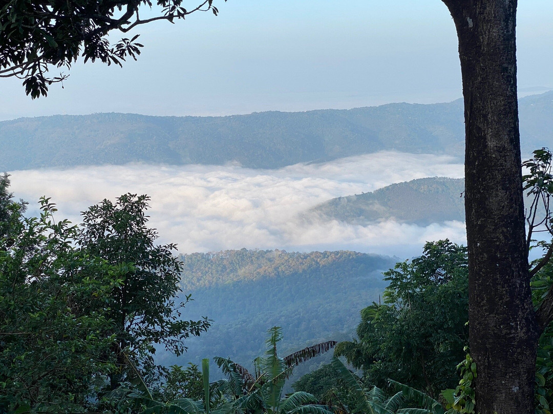 Urumbi Hill Palace主图