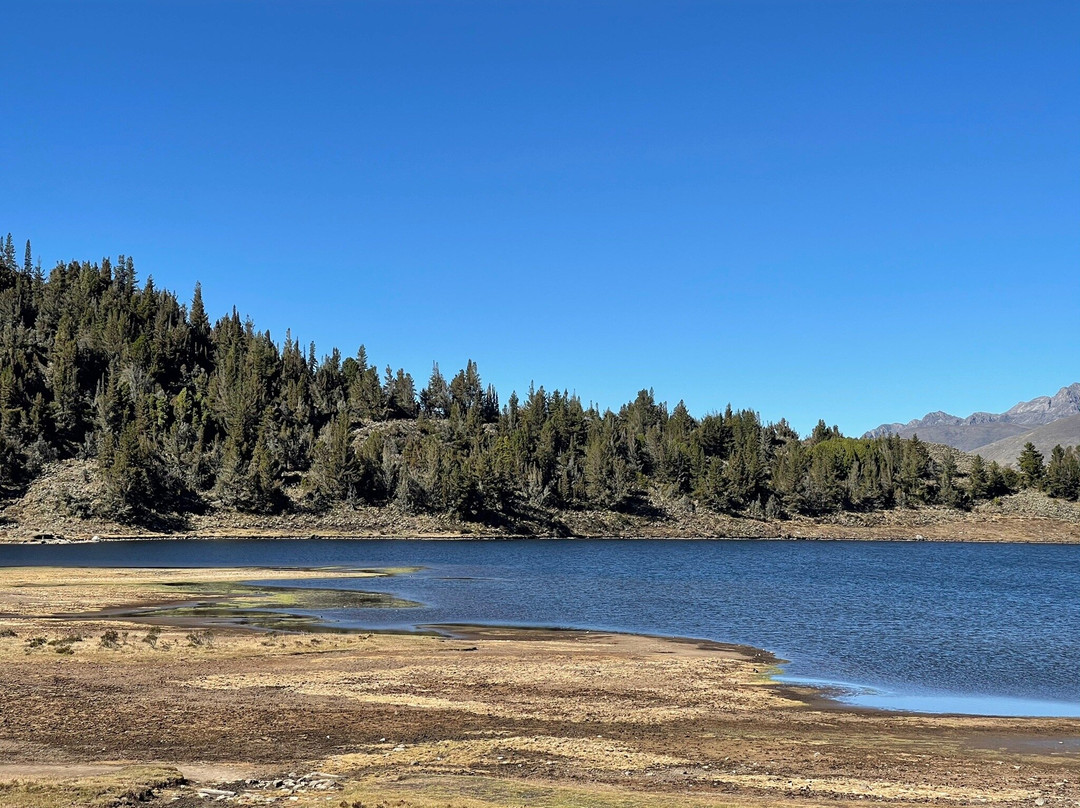 Laguna de Mucubaji-梅里达市必去景点