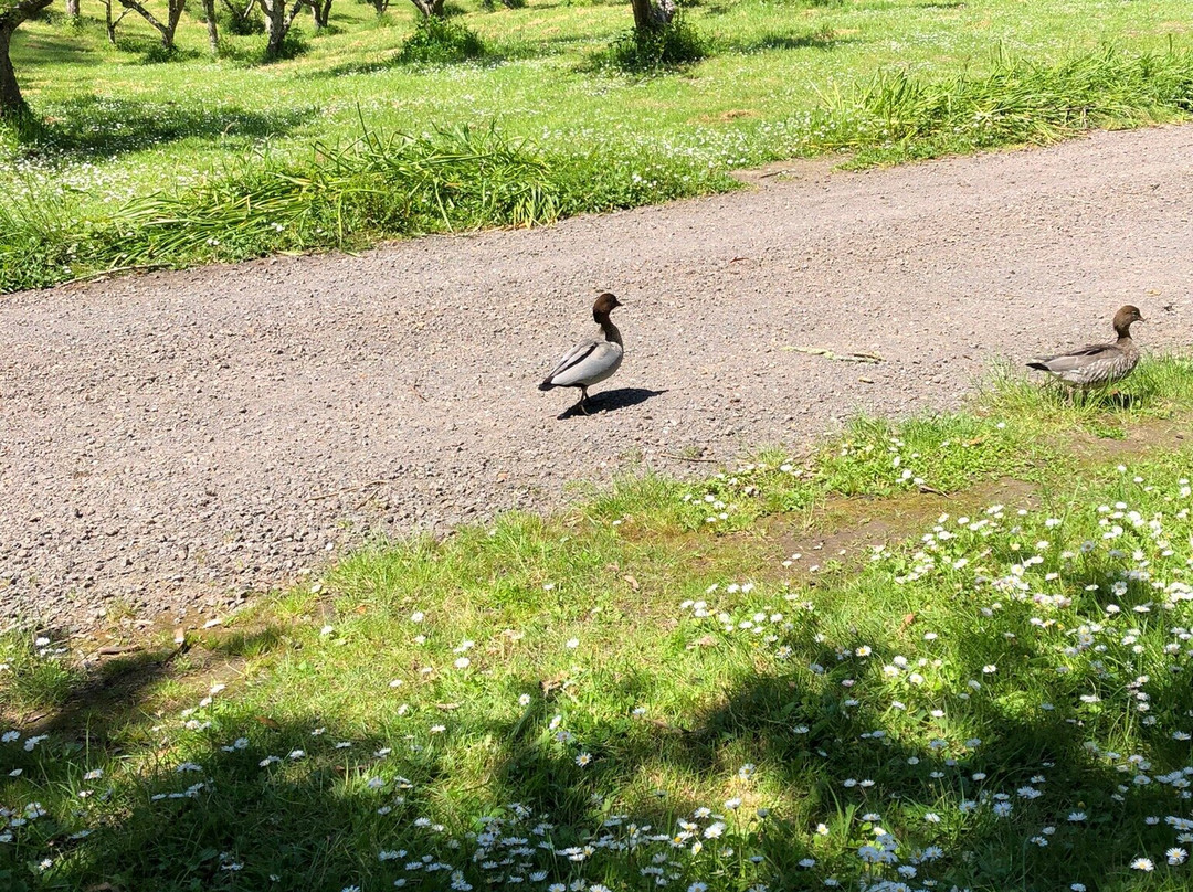 Phantom Falls-洛恩必去景点