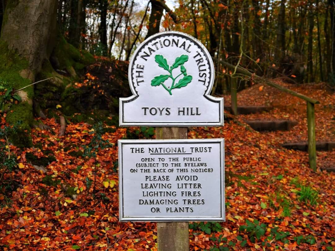 Toys Hill景点图片