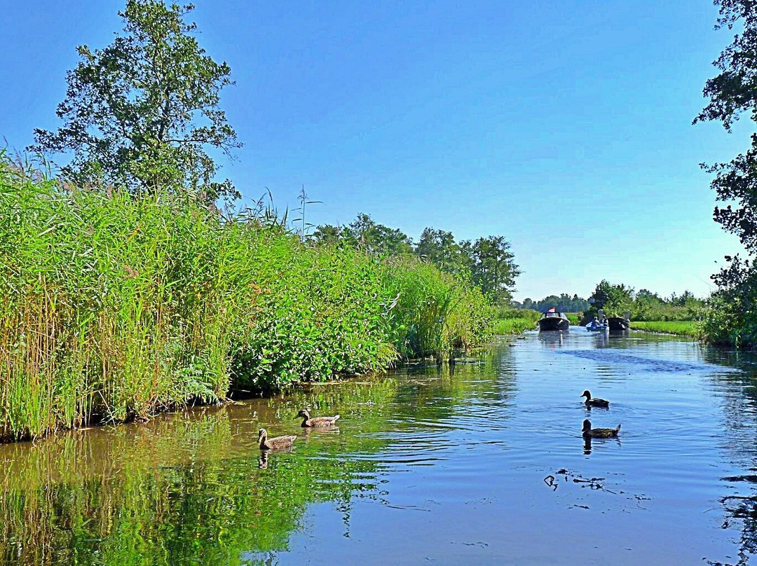 Nationaal Park Weerribben-Wieden景点图片