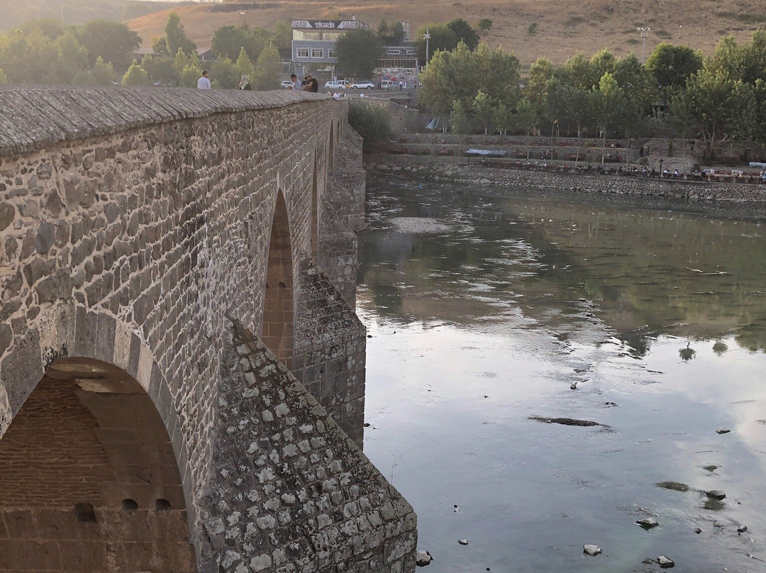Hasankeyf Eski Köprü-Diyarbakir必去景点