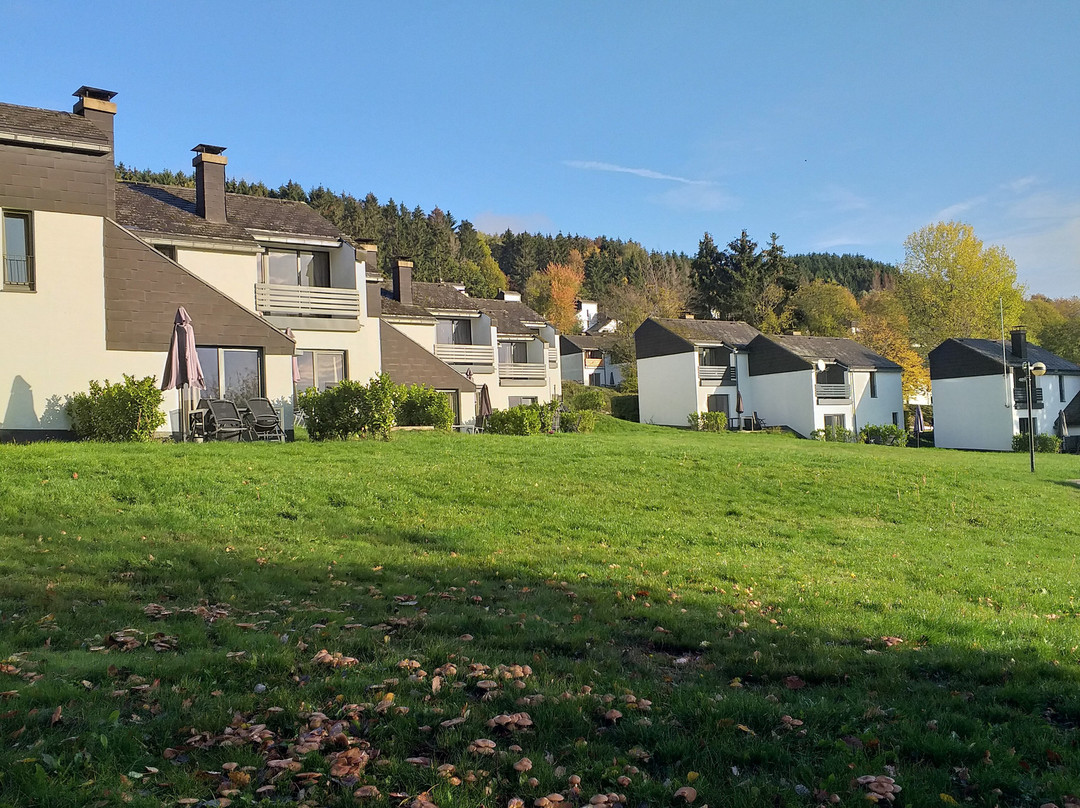 Ferienpark Hambachtal主图