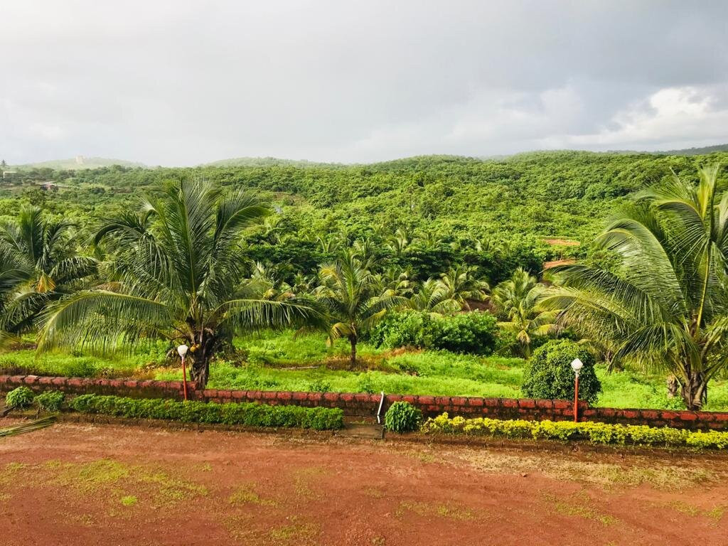 Green Echo Tourism Park主图