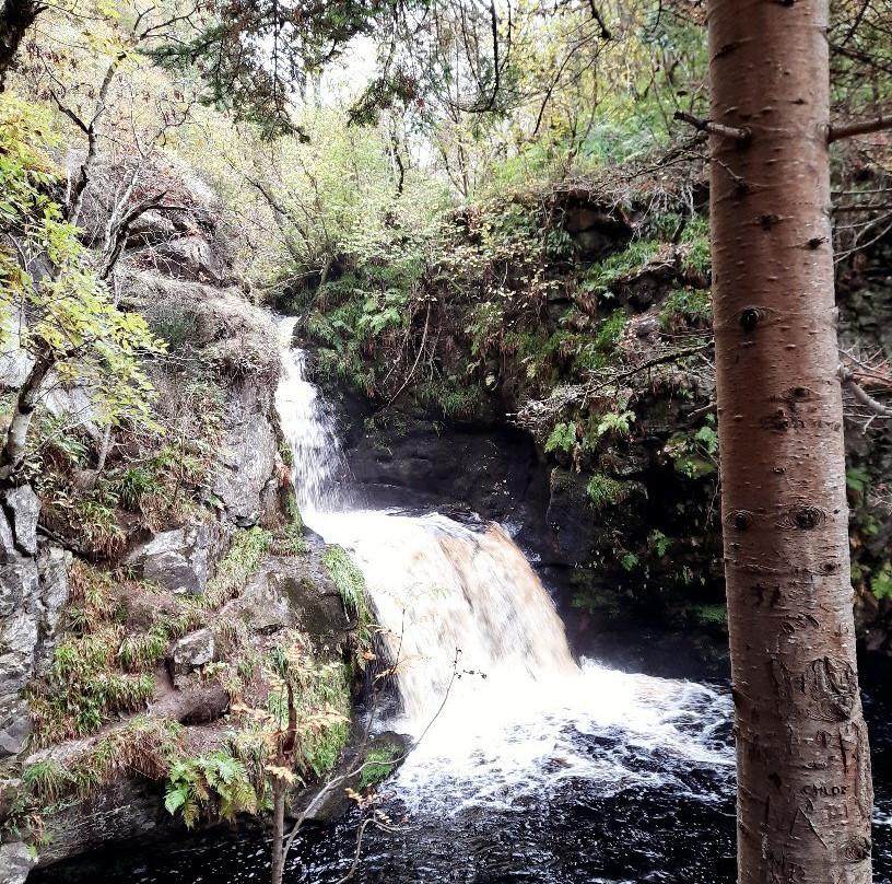 The Linn Falls-阿伯劳尔必去景点