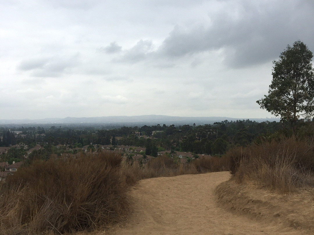 Peters Canyon Regional Park-橘子郡必去景点
