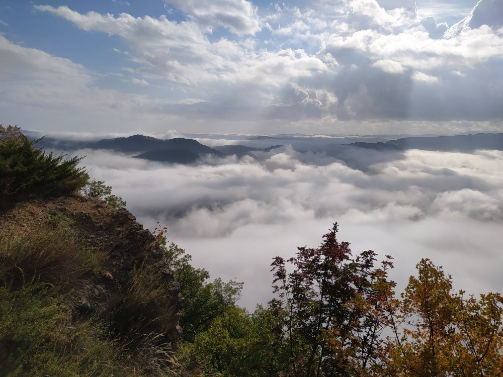 Monte delle Formiche景点图片