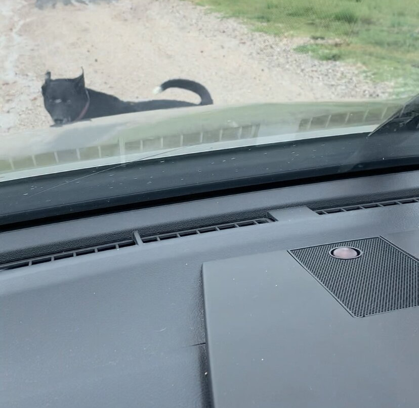 Moothi Estate Winery-马奇必去景点