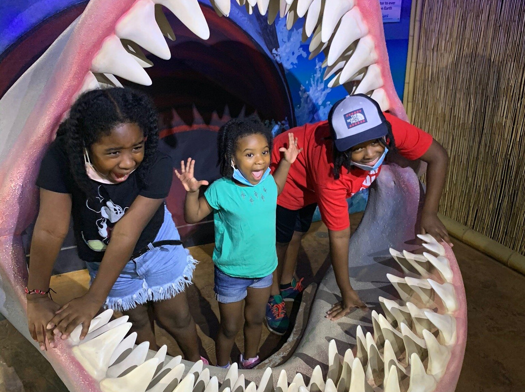 Woodbridge Aquarium & Wildlife景点图片