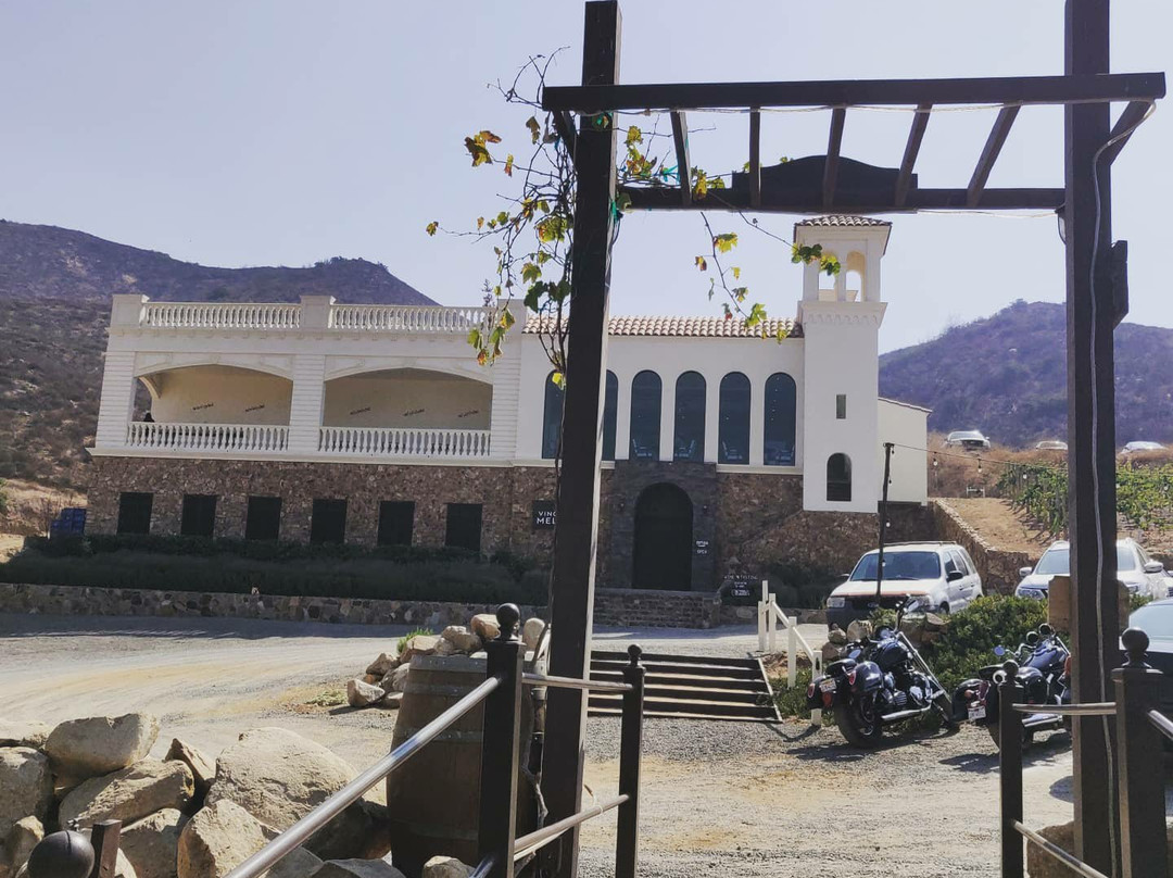 Hacienda Guadalupe Vinícola景点图片