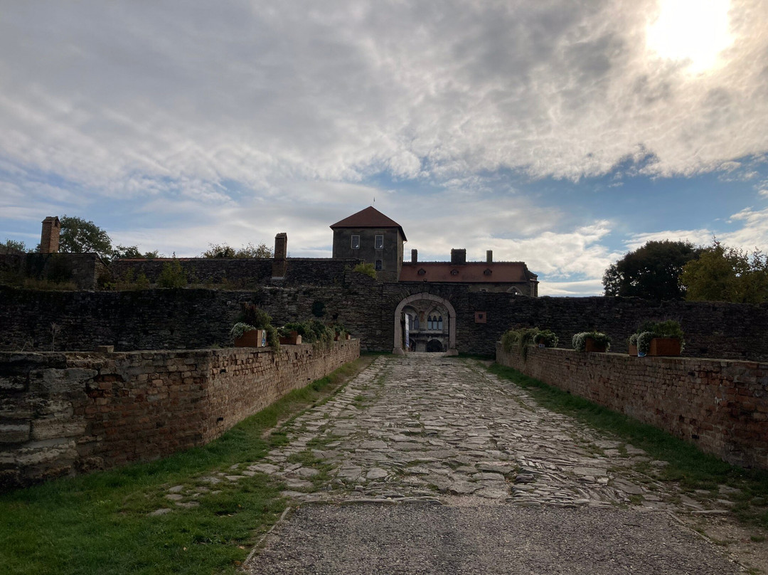 Kuny Domokos Museum at the Tata Castle-塔塔必去景点