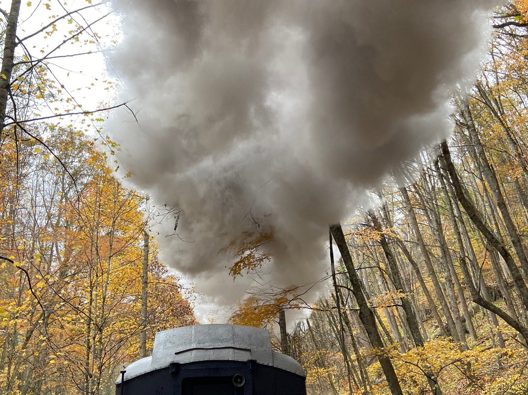 Durbin Greenbrier Valley Railroad景点图片