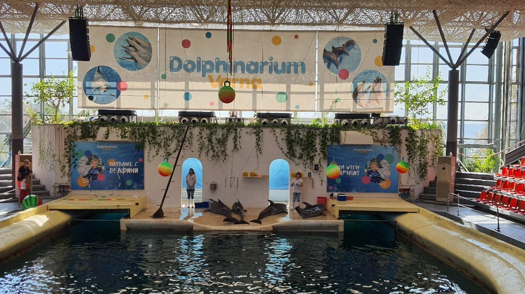Dolphinarium-瓦尔纳必去景点